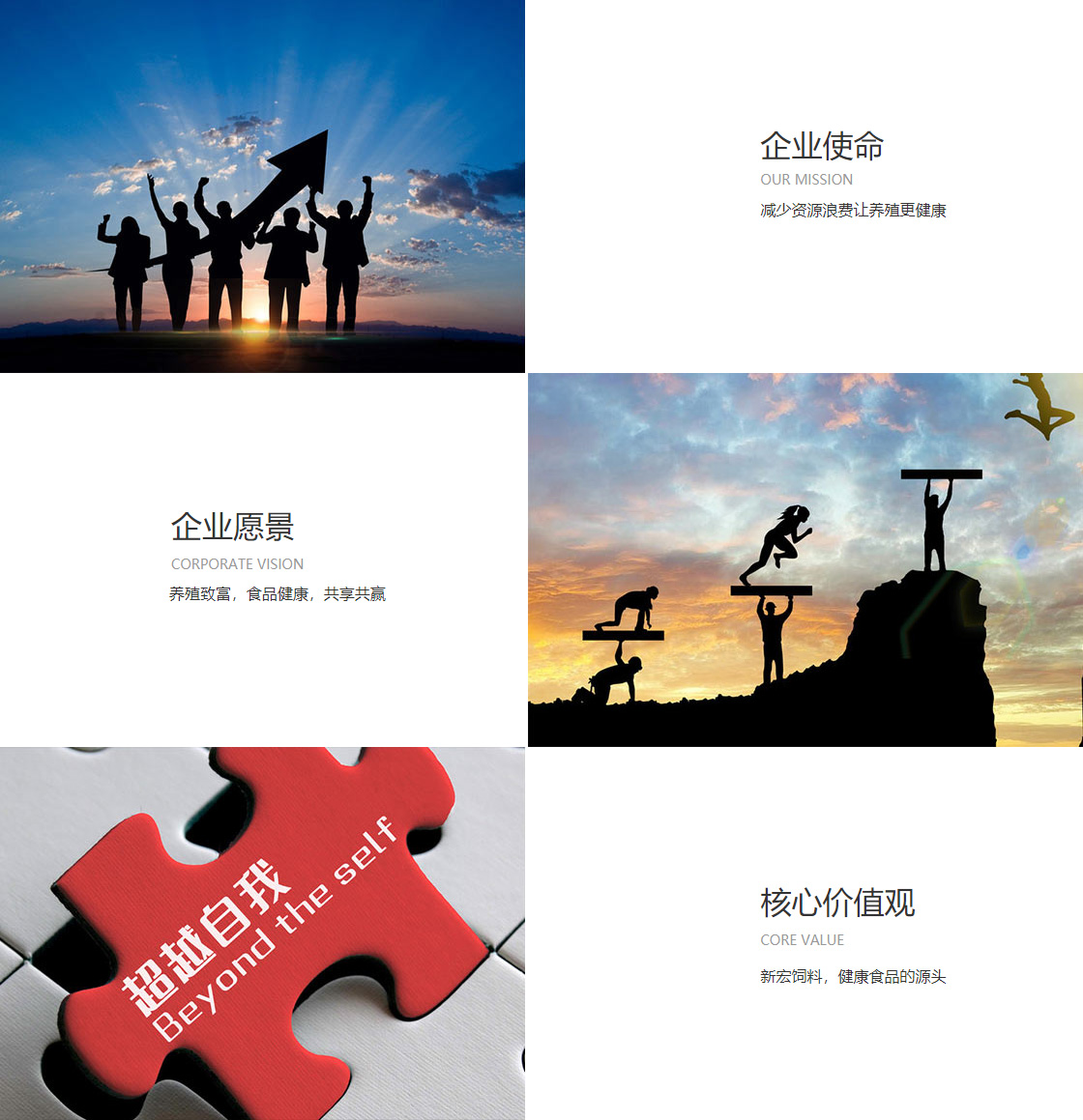 江南网页版官方网站(图1)